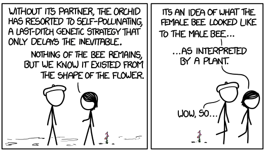 Bee Orchid by xkcd