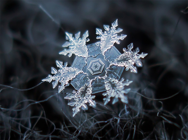 Snowflakes by Alexey Kljatov