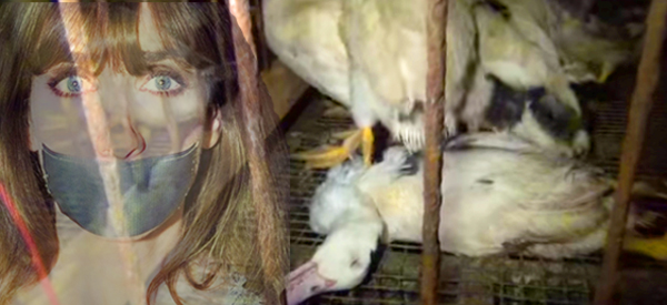 Animal Activist Amber Canavan Imprisoned