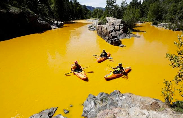 Kayakers Dan Steaves, Eric Parker and David Farkas found themselves in the Animas River north of Durango on Thursday, the same day contaminated mine waste from the Gold King Mine above Silverton made its way into Durango. Photo Jerry McBride/Durango Herald. For excellent local coverage of the Gold King Mine spill, follow the Durango Herald here. 