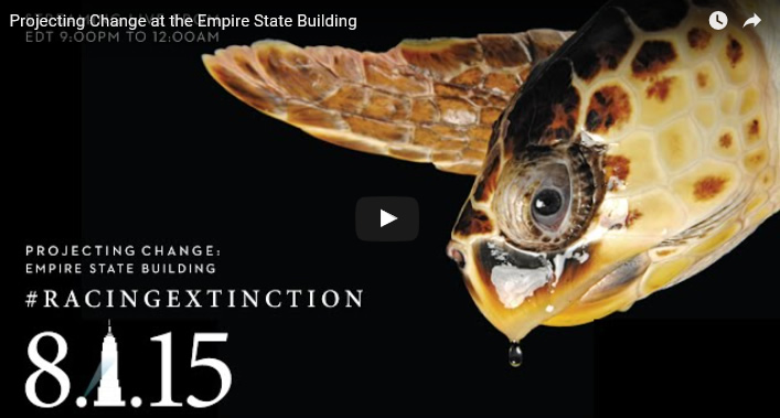 Projecting Change at the Empire State Building by Racing Extinction