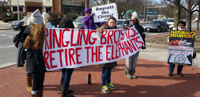 Pace Environmental Policy Clinic students demonstrate against use of entertainment elephants outside the Royal Hanneford Circus, which has been cited nine times in the past 15 years for the mistreatment and abuse of elephants in violation of the Federal Animal Welfare Act.