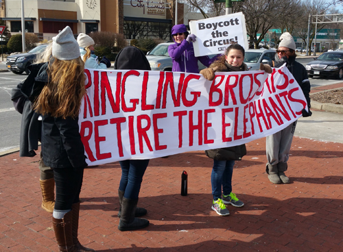 Demonstrating against the use of elephants in circuses.