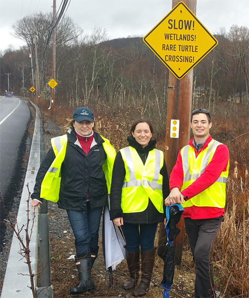   Investigating turtle mortality on a Putnam County highway in Cold Spring, NY with county legislator Barbara Scuccimarra (L.).